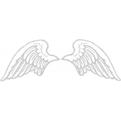 Ailes Anges