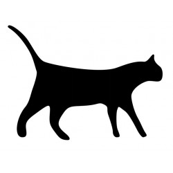 Motif Chat 2 en flex...