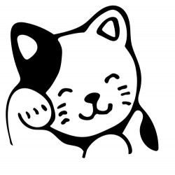 Motif Chat 5 en flex...