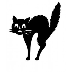 Motif Chat 6 en flex...